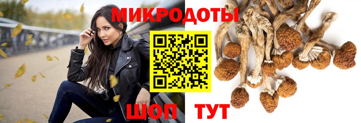 Галлюциногенные грибы MAGIC MUSHROOMS Азнакаево